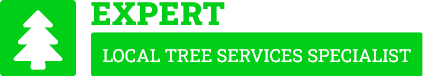 St George Tree Lopping - Tree Removal Sydney